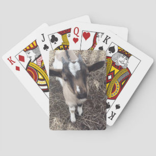 Getfoto som leker kort casinokort