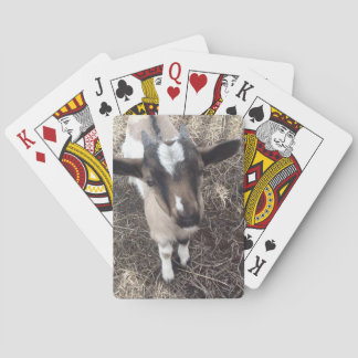 Getfoto som leker kort casinokort