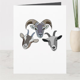 Geting Djur Rolig Geting Kort