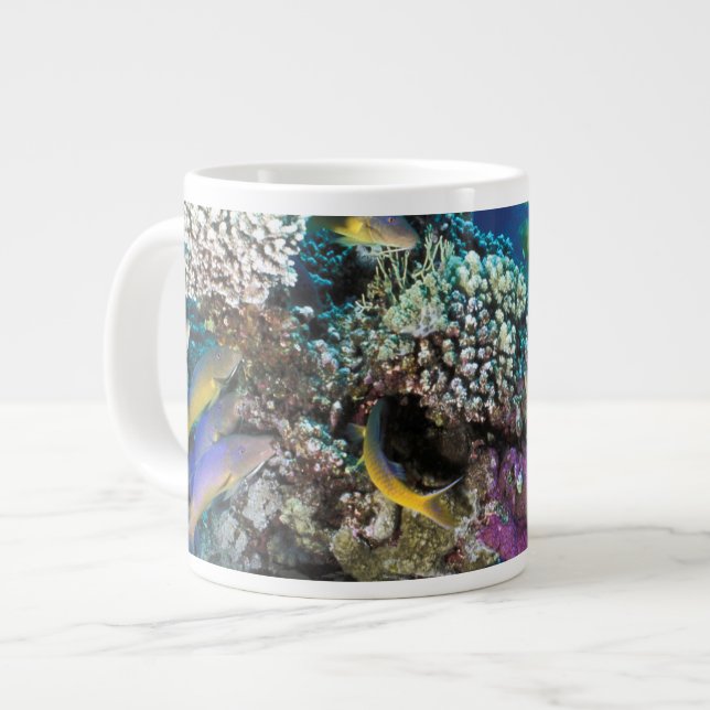 Getingfiskar svärmar runt liten korall jumbo mugg (Framsida vänster)