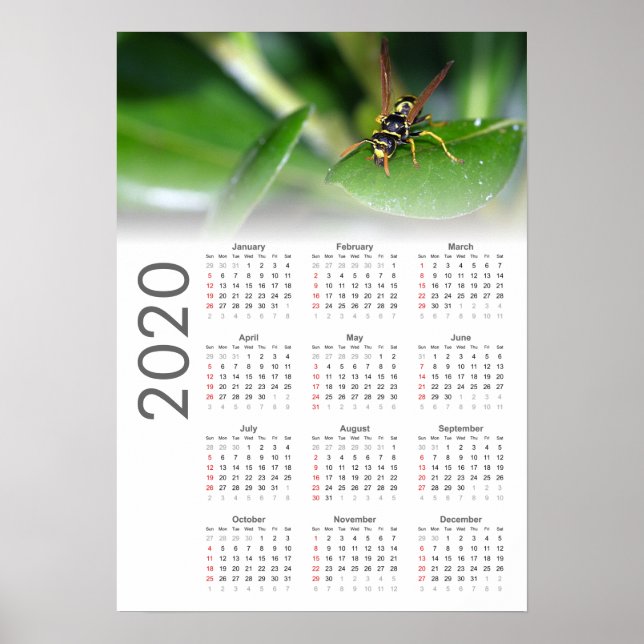 Getingkalender 2020 Affisch (Framsidan)