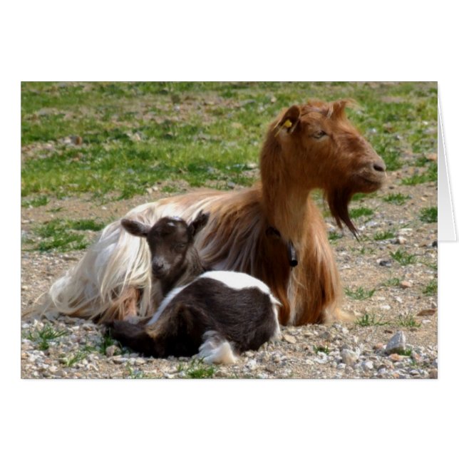 getkort hälsningskort (Framsidan Horizontal)