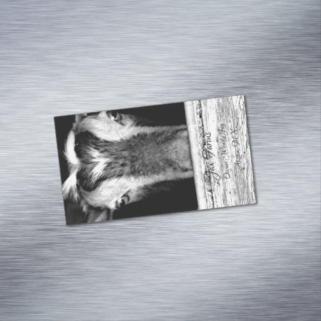 Getmagnet Magnetiska Visitkort (In Situ)