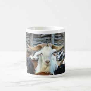 getmugg kaffemugg