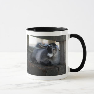 Getmugg Mugg