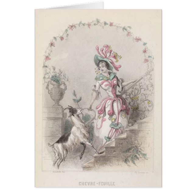 Getogräsblomma Hälsningskort (Framsidan)