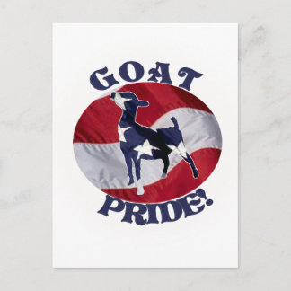 GETPRIDEAMERIKANSKA FLAGGAN USA VYKORT
