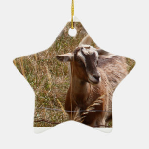 Getprydnad Julgransprydnad Keramik