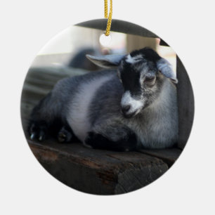 Getprydnad Julgransprydnad Keramik