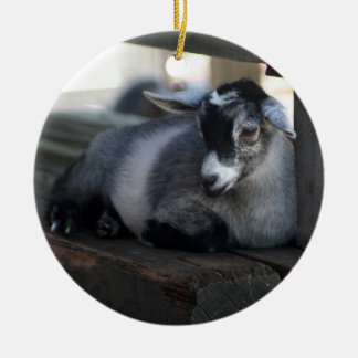 Getprydnad Julgransprydnad Keramik
