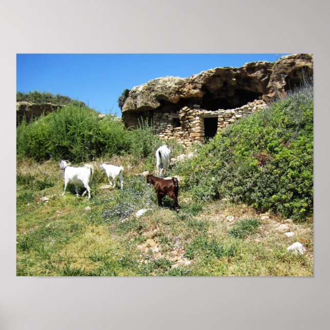 getreat poster (Framsidan)