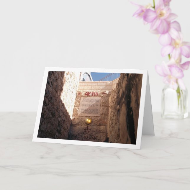 Getsemaneanska trädgården, Jerusalem Kort (Orkide)