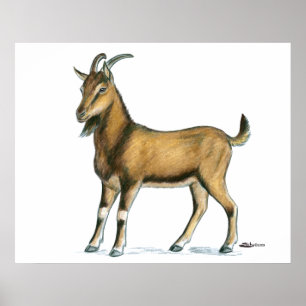 Getter: Brown Poster