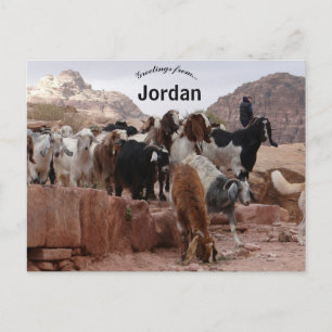 Getter i Petra Jordan Vykort