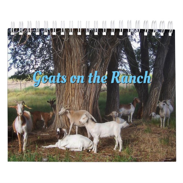 Getter i ranch v3-kalendern kalender (Omslag)