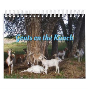 Getter i ranch v3-kalendern kalender