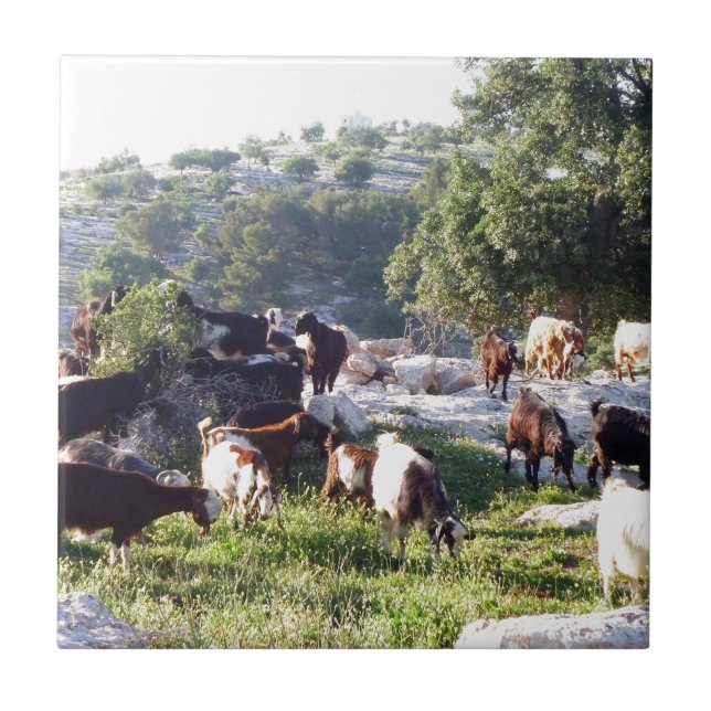 Getter Kakelplatta (Framsidan)