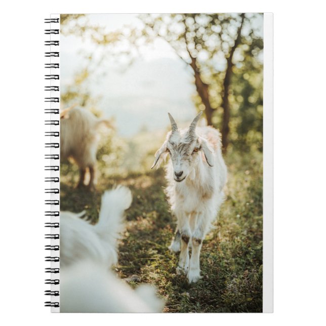 Getter och getter (85) anteckningsbok (Framsidan)