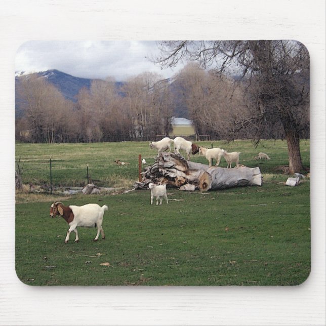 Getter på en logga musmatta (Framsidan)