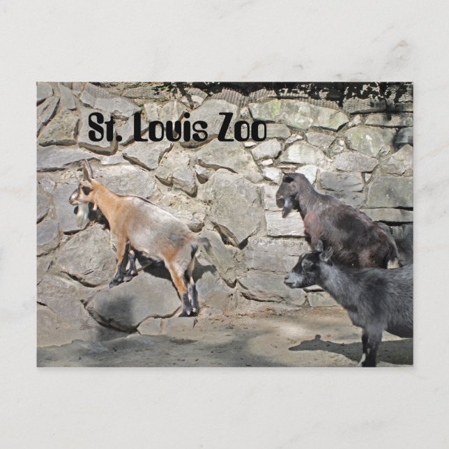 Getter på en mur vykort (Framsida)