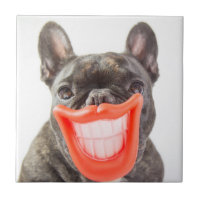 Getty avbildar | A som ler hunden