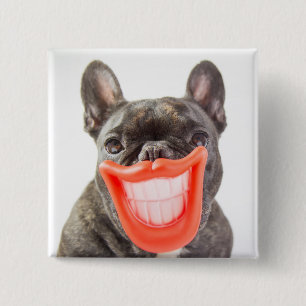 Getty avbildar A som ler hunden Knapp