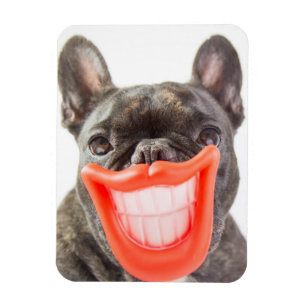 Getty avbildar A som ler hunden Magnet