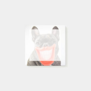 Getty avbildar A som ler hunden Post-it Block