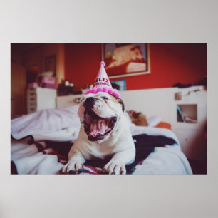 Getty avbildar den brittiska bulldoggen poster