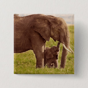 Getty avbildar den elefanten & babyen knapp