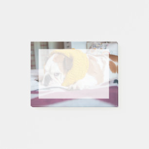 Getty avbildar den engelska bulldoggen post-it block