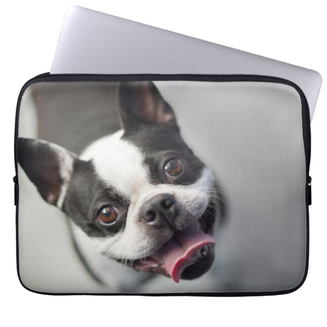 Getty avbildar | den franska bulldoggen laptop fodral (Framsidan)
