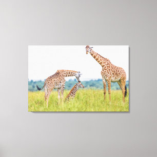 Getty avbildar den girafffamiljen canvastryck