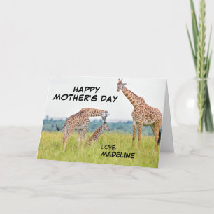 Getty avbildar den girafffamiljen kort