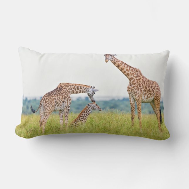 Getty avbildar den | girafffamiljen lumbarkudde (Framsida)