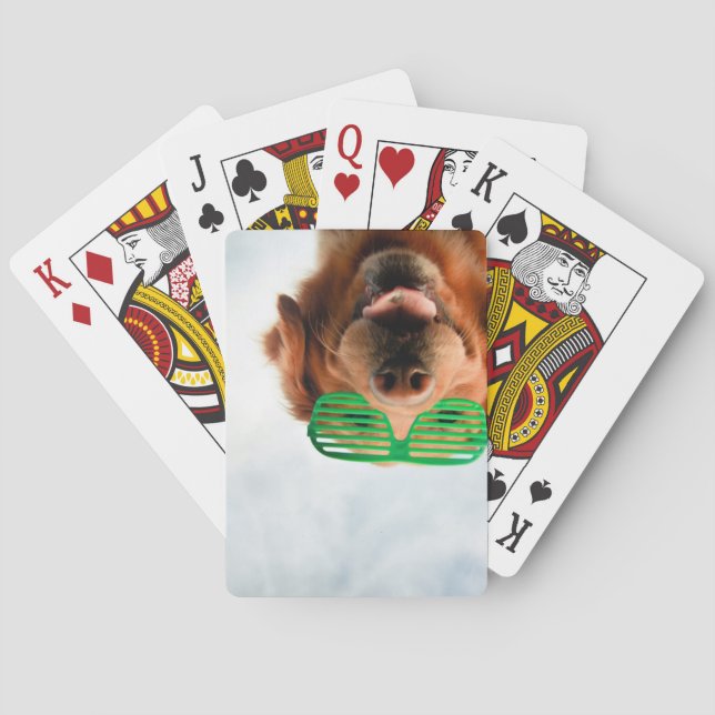 Getty avbildar den | hunden med exponeringsglas kortlek (Baksidan)