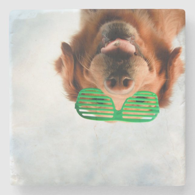 Getty avbildar den | hunden med exponeringsglas stenunderlägg (Framsidan)