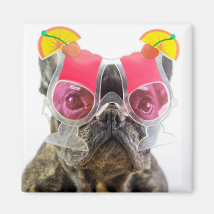 Getty avbildar den hunden med magnet