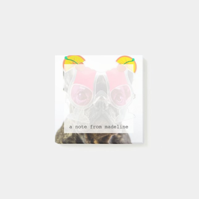 Getty avbildar den | hunden med post-it block (Framsida)