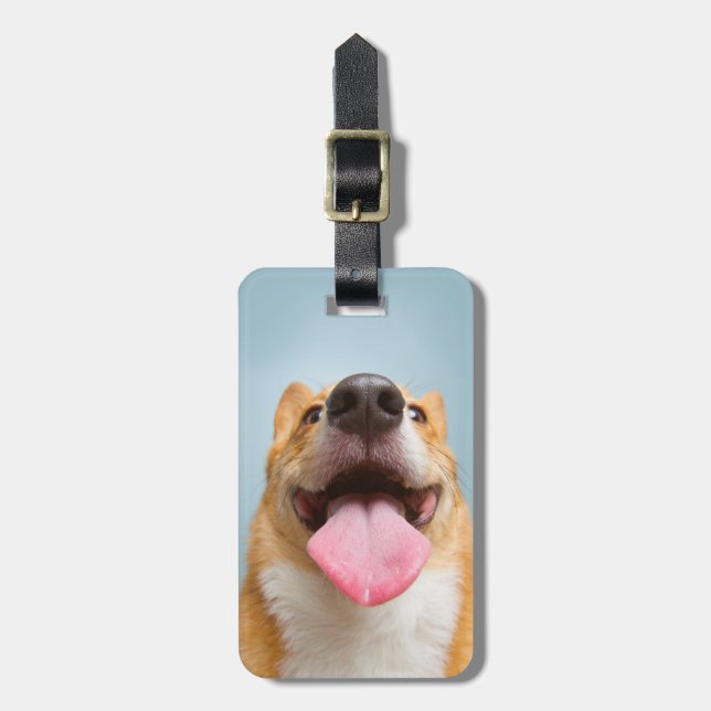 Getty avbildar | den jätteglada corgien bagagebricka (Vertikal Framsida)