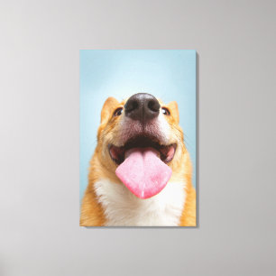 Getty avbildar   den jätteglada corgien canvastryck