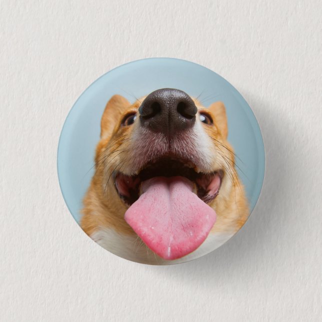 Getty avbildar | den jätteglada corgien knapp (Framsida)