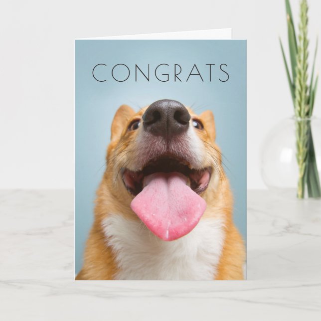 Getty avbildar | den jätteglada corgien kort (Framsida)