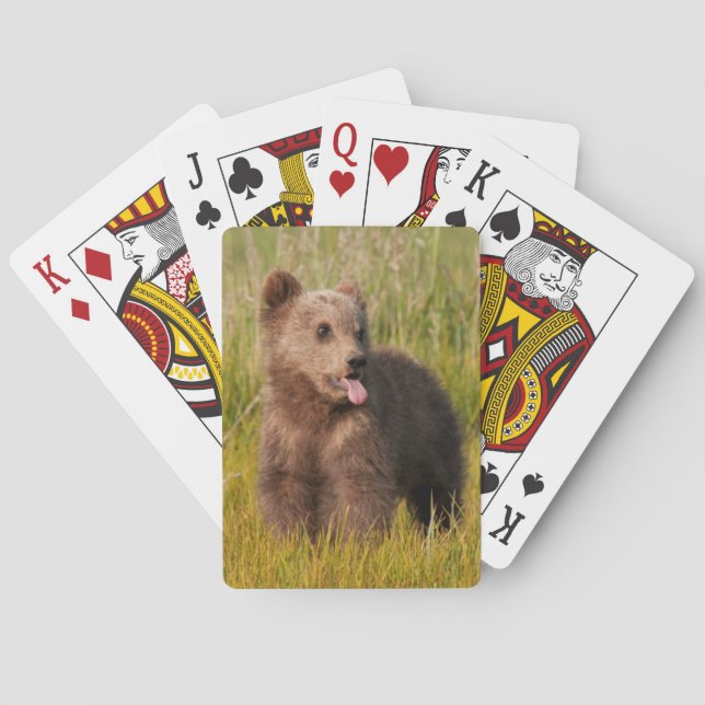 Getty avbildar | den roliga babybjörnen casinokort (Baksidan)