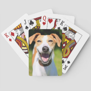 Getty avbildar   den skratta hunden casinokort