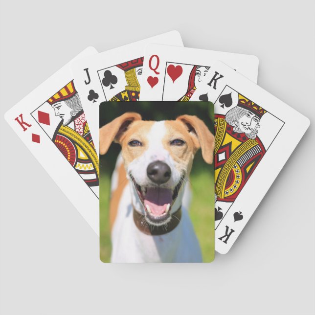 Getty avbildar | den skratta hunden casinokort (Baksidan)