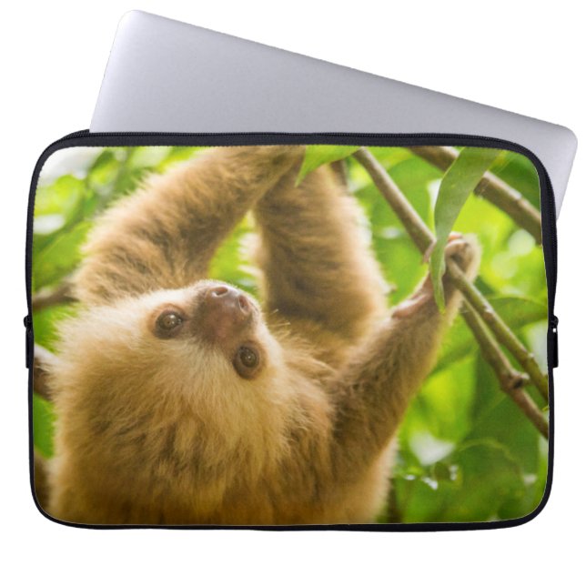 Getty avbildar | den uppochnervända slothen laptop sleeve (Framsidan)