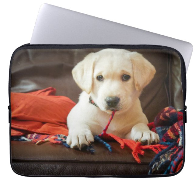 Getty avbildar den | valpen på en soffa laptop sleeve (Framsidan)