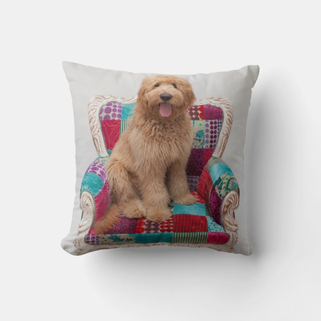 Getty avbildar | gulliga Goldendoodle Kudde (Framsida)