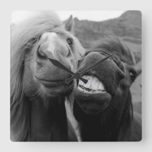 Getty avbildar   le hästar fyrkantig klocka